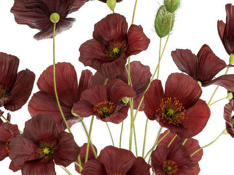 Beautiful bouquet of wild flowers in a vase with Poppy 3D Model