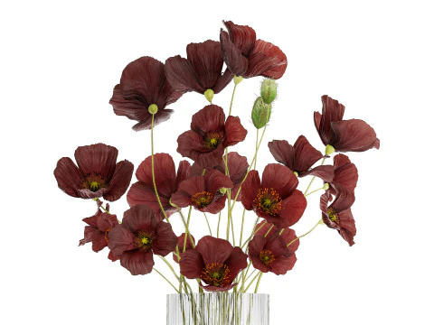 Beautiful bouquet of wild flowers in a vase with Poppy 3D Model