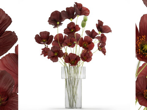 Beautiful bouquet of wild flowers in a vase with Poppy 3D Model