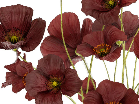 Beautiful bouquet of wild flowers in a vase with Poppy 3D Model