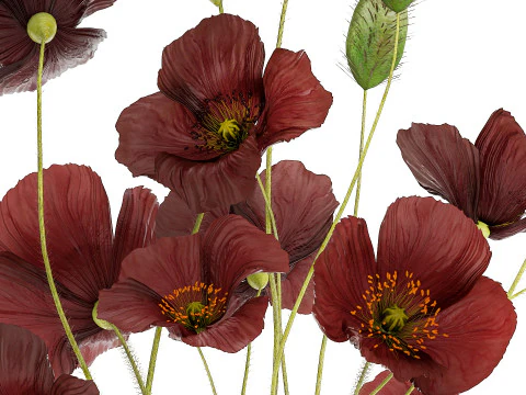 Beautiful bouquet of wild flowers in a vase with Poppy 3D Model