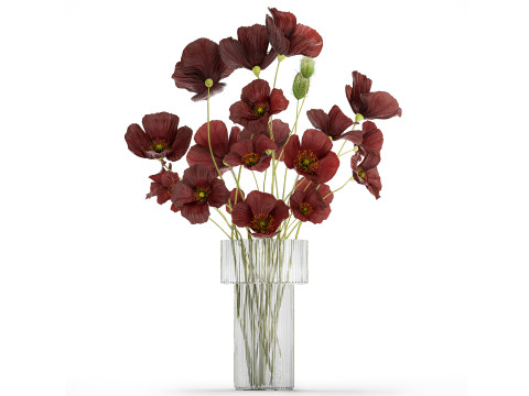 Beautiful bouquet of wild flowers in a vase with Poppy 3D Модель