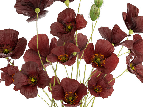 Beautiful bouquet of wild flowers in a vase with Poppy 3D Модель