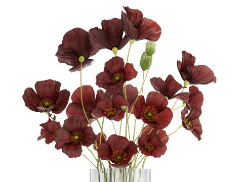 Beautiful bouquet of wild flowers in a vase with Poppy 3D Model