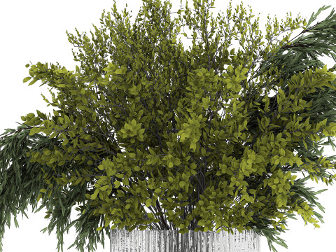 Bouquet Of Branches With Green Leaves In A Vase 441 3D मॉडल
