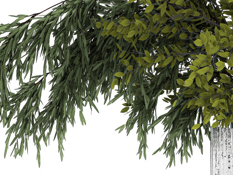 Bouquet Of Branches With Green Leaves In A Vase 441 3D मॉडल