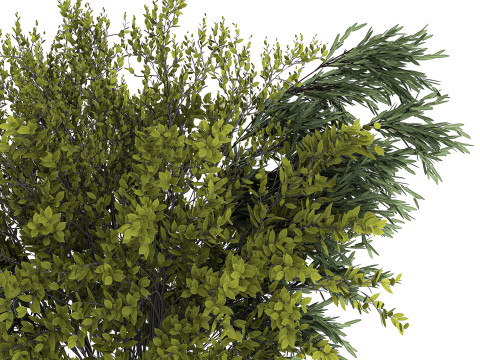 Bouquet Of Branches With Green Leaves In A Vase 441 3D मॉडल