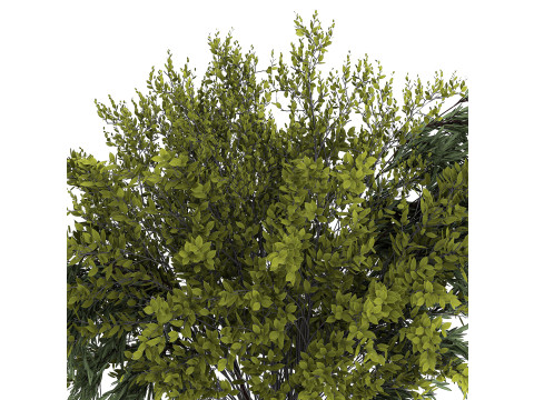 Bouquet Of Branches With Green Leaves In A Vase 441 3D मॉडल