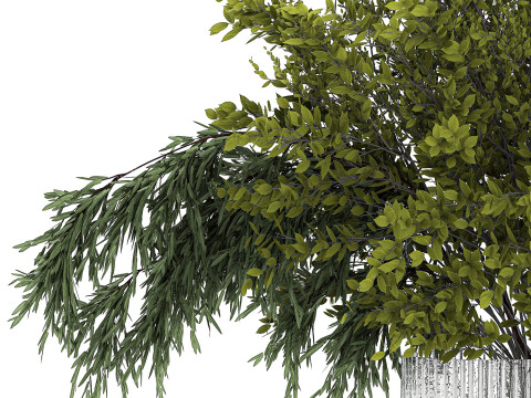 Bouquet Of Branches With Green Leaves In A Vase 441 3D मॉडल