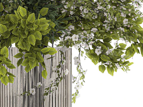 Bouquet Of Green Branches From The Garden 3D Model