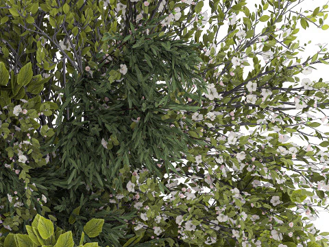 Bouquet Of Green Branches From The Garden 3D Model