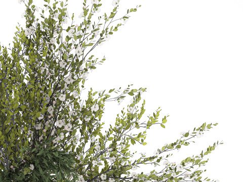 Bouquet Of Green Branches From The Garden Modello 3D