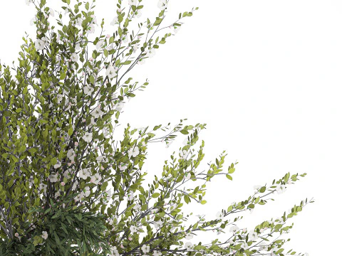 Bouquet Of Green Branches From The Garden 3D Model