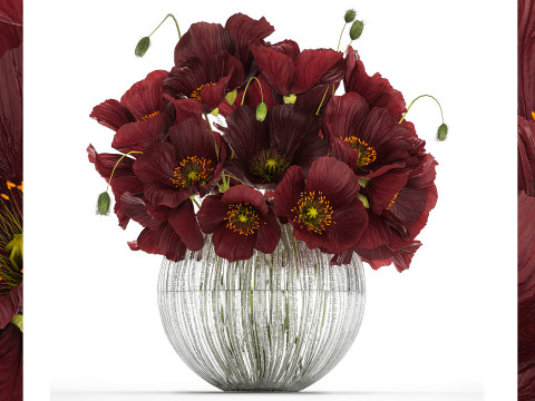 Bouquet Of Wild Flowers In A Vase With Poppy 443 Modello 3D
