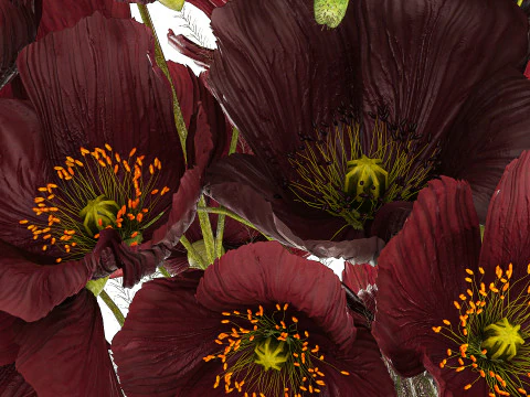 Buqu&ecirc; De Flores Silvestres Em Vaso Com Papoila 443 Modelo 3D