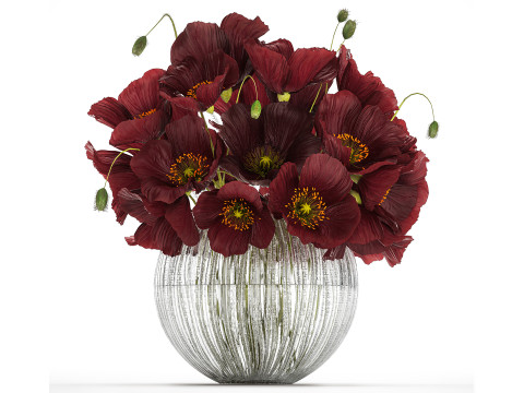 Bouquet Of Wild Flowers In A Vase With Poppy 443 3D Model
