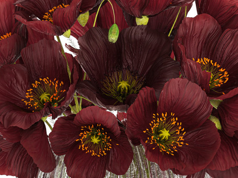 Bouquet Of Wild Flowers In A Vase With Poppy 443 3D Model