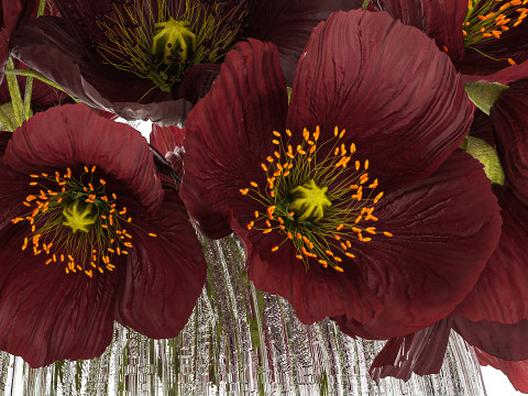 Bouquet Of Wild Flowers In A Vase With Poppy 443 3D Model