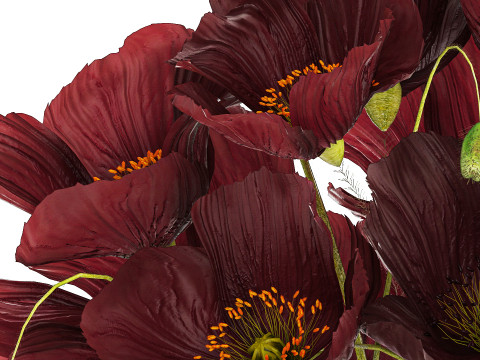 Bouquet Of Wild Flowers In A Vase With Poppy 443 3D Model
