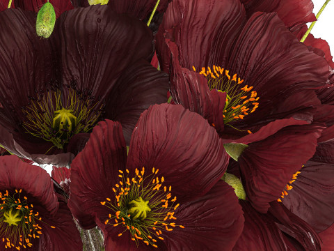 Bouquet Of Wild Flowers In A Vase With Poppy 443 3D Model