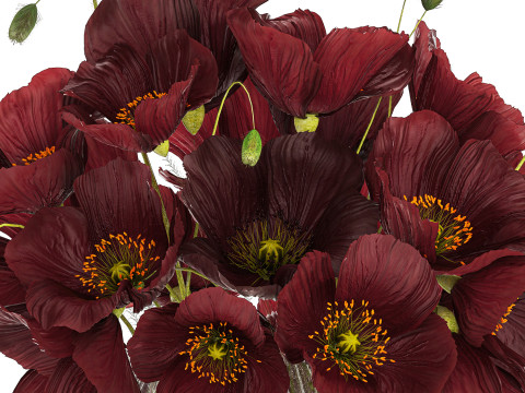 Bouquet Of Wild Flowers In A Vase With Poppy 443 3D Model