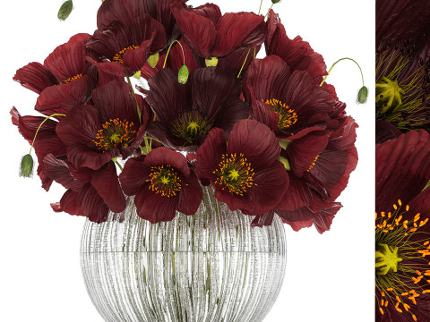 Bouquet Of Wild Flowers In A Vase With Poppy 443 3D Model