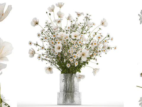 白い野生の花ポピー カモミールの花束 3Dモデル