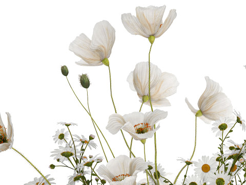 Bouquet Of White Wild Flowers Poppy Chamomile 3D Model
