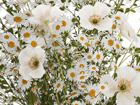 Bouquet Of White Wild Flowers Poppy Chamomile 3D Model