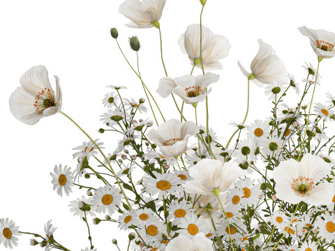Bouquet Of White Wild Flowers Poppy Chamomile 3D Model