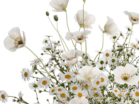Bouquet Of White Wild Flowers Poppy Chamomile 3D Model
