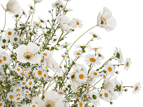 Bouquet Of White Wild Flowers Poppy Chamomile 3D Model