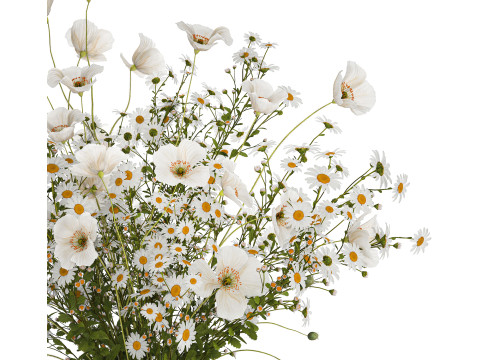 Bouquet Of White Wild Flowers Poppy Chamomile 3D Model