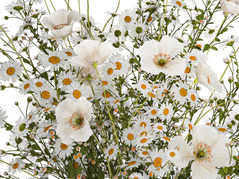Bouquet Of White Wild Flowers Poppy Chamomile 3D Model