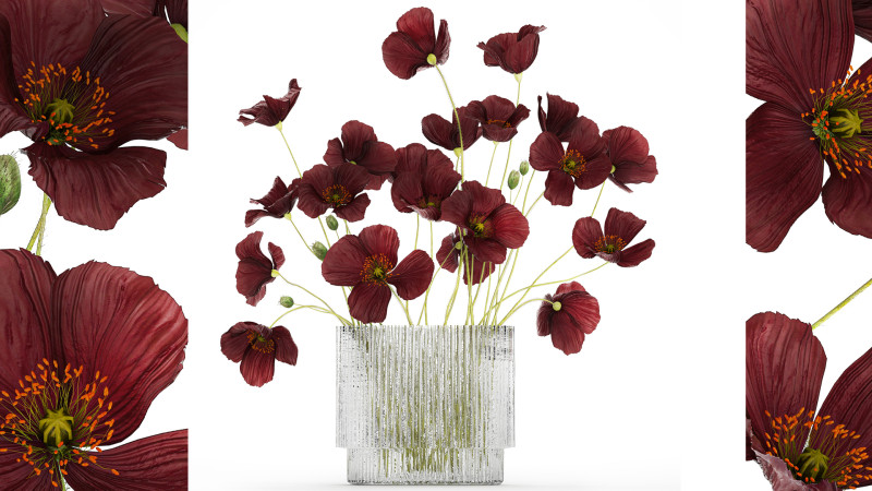 Bouquet of wild flowers in a modern glass vase with Poppy 445 3D मॉडल .c4d .max .obj .3ds .fbx .stl .blend