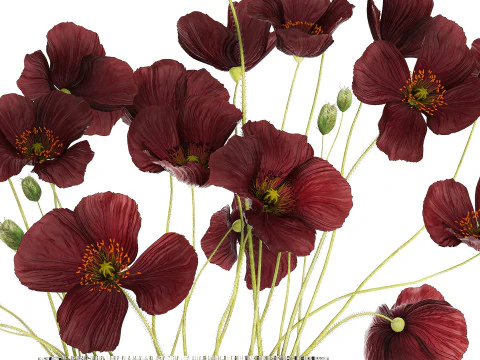 Bouquet of wild flowers in a modern glass vase with Poppy 445 3D Model
