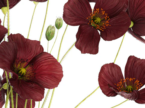 Bouquet of wild flowers in a modern glass vase with Poppy 445 3D Model