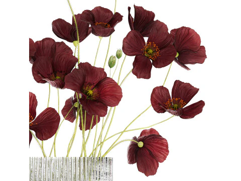 Bouquet of wild flowers in a modern glass vase with Poppy 445 3D Model