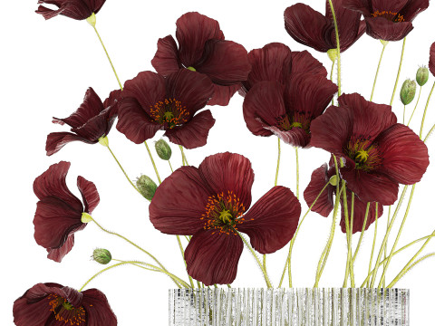 Bouquet of wild flowers in a modern glass vase with Poppy 445 3D मॉडल