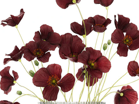 Bouquet of wild flowers in a modern glass vase with Poppy 445 3D Model