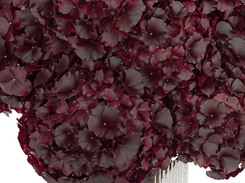 Bouquet Of Burgundy Flowers In A Vase Hydrangea 446 3D Модель