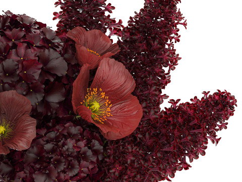 Bouquet of burgundy flowers in a vase lilac poppy hydrangea 3D Model