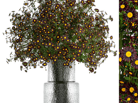 Bouquet wildflowers in a vase with daisy Chamomile 448 3D-Modell