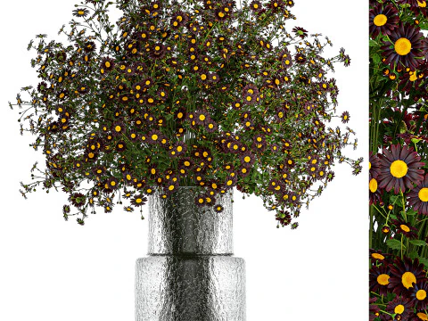 Bouquet wildflowers in a vase with daisy Chamomile 448 3D Model
