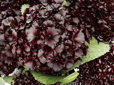 Bouquet Of Burgundy Red Flowers Hydrangea Lilac 449 3D Model