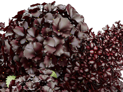 Bouquet Of Burgundy Red Flowers Hydrangea Lilac 449 3D Model