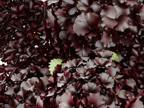 Bouquet Of Burgundy Red Flowers Hydrangea Lilac 449 3D Model