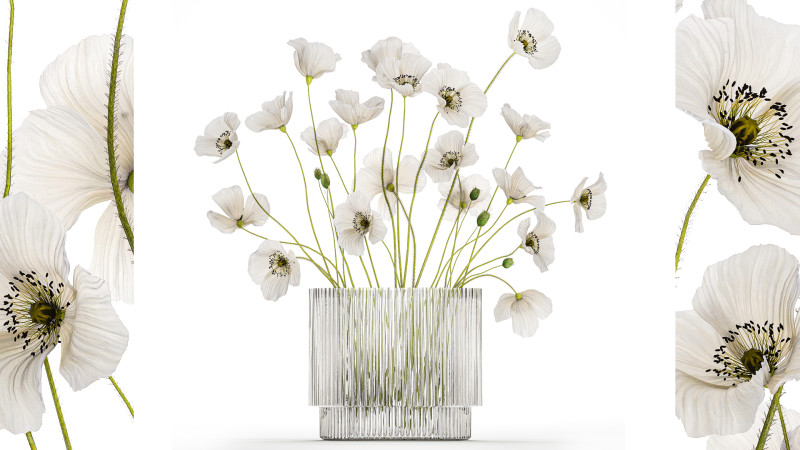 Bouquet of white wild flowers in a vase Poppy 450 3D मॉडल .c4d .max .obj .3ds .fbx .stl .blend