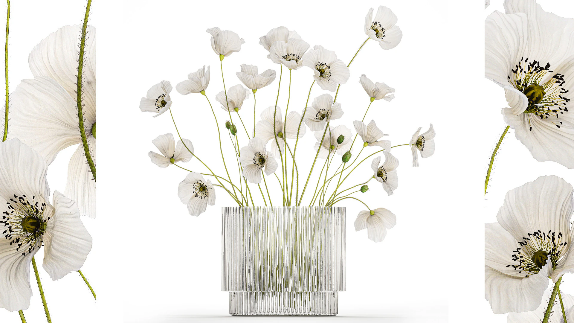Bouquet of white wild flowers in a vase Poppy 450 3D Model .c4d .max .obj .3ds .fbx .stl .blend 