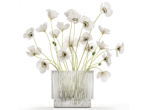 Bouquet of white wild flowers in a vase Poppy 450 3D मॉडल